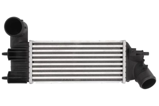 tarpinis suslėgto oro aušintuvas, kompresorius THERMOTEC DAC005TT