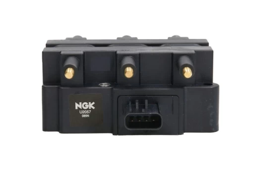 Ritė, uždegimas NGK 48260