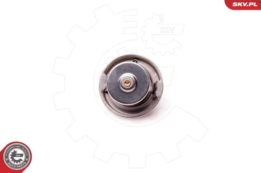 Termostatas, aušinimo skystis ESEN SKV 20SKV048