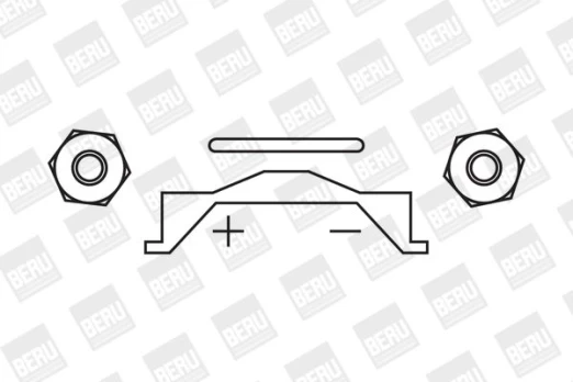 Ritė, uždegimas BorgWarner (BERU) ZS356