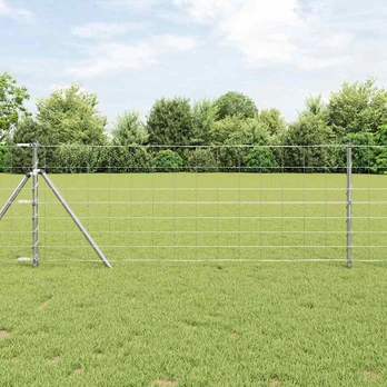 Lauko Tvora 0.8x25 m Cinkuotas Plienas