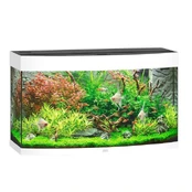 LED Vision 180 Akvariumas lenktas baltas kaina