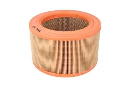 Oro filtras FILTRON AM469 kaina