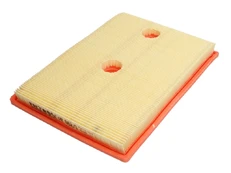 Oro filtras FILTRON AP062/1 kaina