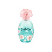 Tualetinis vanduo Gres, 100 ml kaina
