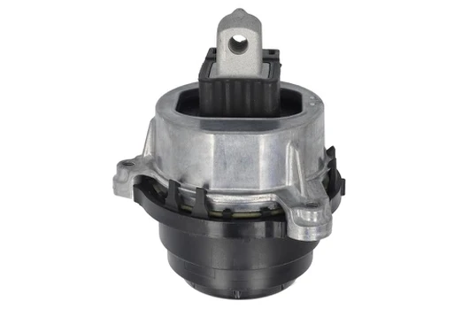 Variklio montavimas TEDGUM TED26569