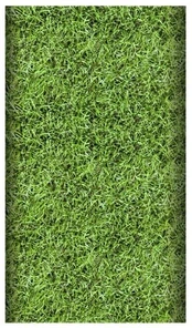 Staltiesė Pap Star, žalia, 500 x 120 cm