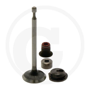 Įsiurbimo vožtuvas Briggs & Stratton 590530