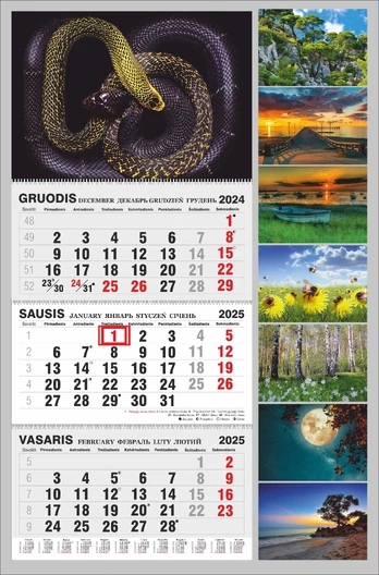 Kalendorius 3 mėn. 1 spiralė