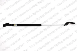 LESJOFORS LS8155432 Boot strut kaina