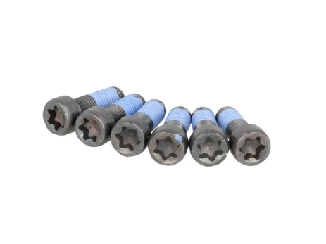 LUK 411 0169 10 Flywheel bolt set