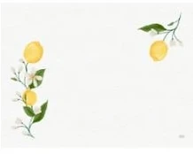 Staltiesė Duni 30x40 cm Lemon Fiesta, 4 pak. x 250 vnt./kartonas