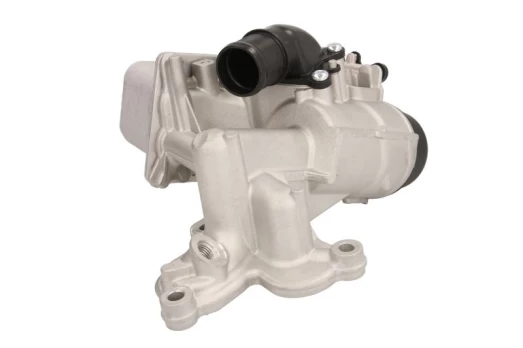 Alyvos radiatorius THERMOTEC D4R009TT