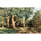The Oak Grove SB476 kaina