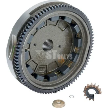 Smagratis BriggsStratton 591761