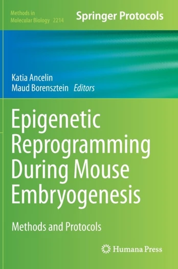 Epigenetic Reprogramming During Mouse Embryogenesis