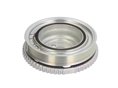 DAYCO DAYDPV1021 Crank pulley
