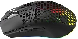 Pelė TRACER GAMEZONE INTENSE RGB Honeycomb RF (2.4G+BT)