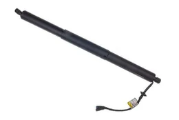 DENCKERMANN G100126 Galinių durų elektros variklis