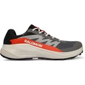 Salomon Bėgimo batai Alphaglide Gore-Tex L47975300 Pilka