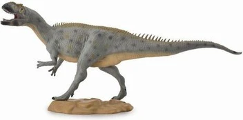 Collecta Surinkta