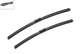 Valytuvai BOSCH 3397007697