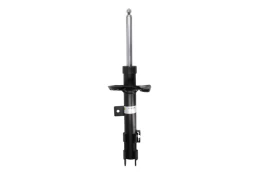 BILSTEIN 22-261434 Shock absorber kaina