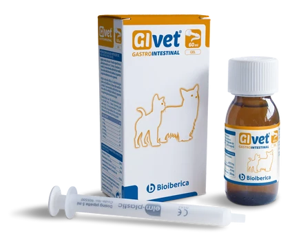 GIVET gelis 60 ml