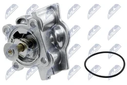 Termostatas, aušinimo skystis NTY CTM-FT-005