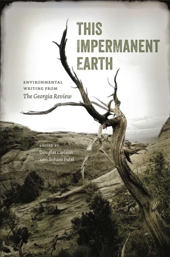 This Impermanent Earth