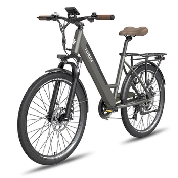 Elektrinis dviratis Fafrees F26 Pro 26'', pilkas