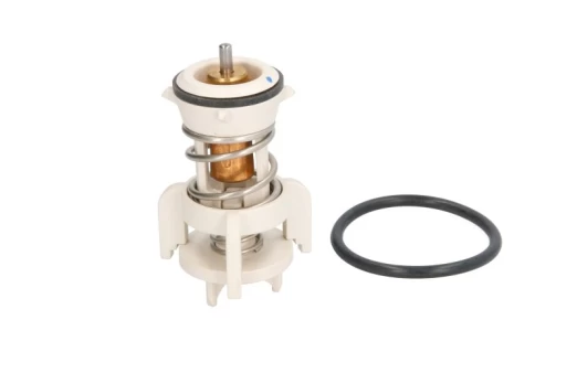 termostatas, aušinimo skystis THERMOTEC D2A010TT