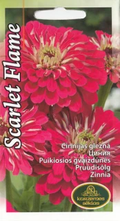 Puikiosios Gvazdūnės Scarlet Flame