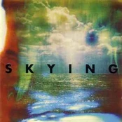 CD The Horrors - Skying