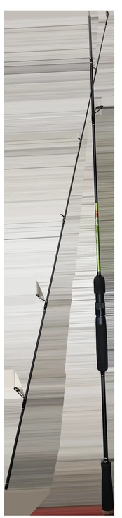 Spiningas 198cm Pro Catch