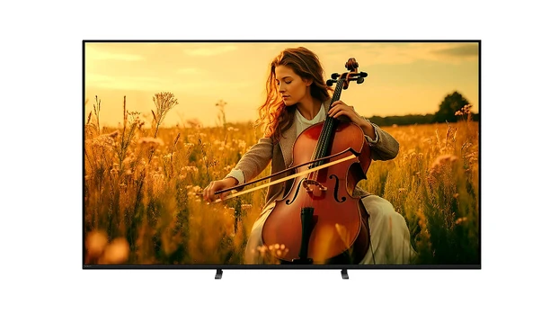 Televizorius Sony Bravia 5 XR55