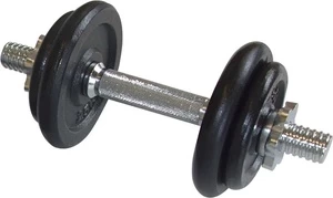 Surenkamas svarmuo Schildkrot Dumbbell Set, 10 kg