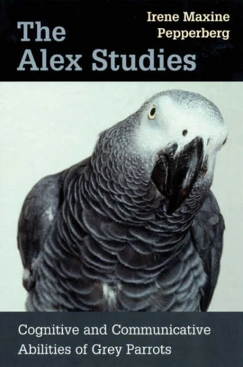 Alex Studies