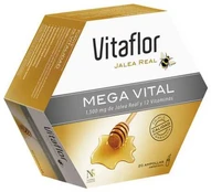Vitaflor Mega Vital 20 Vials 200ml kaina